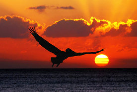 psychotherapist bioenergetics oxford michigan